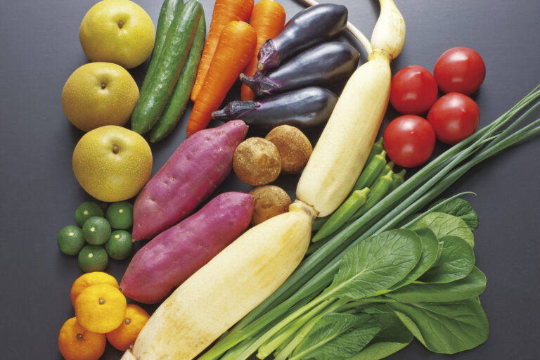 生産者直結！ふるさとの味　とくしまの野菜ボックス